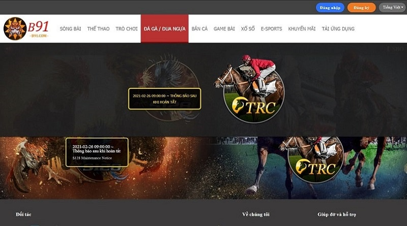 Đ&aacute;nh gi&aacute; B91 - Ưu thế của một nh&agrave; c&aacute;i lớn mạnh to&agrave;n cầu