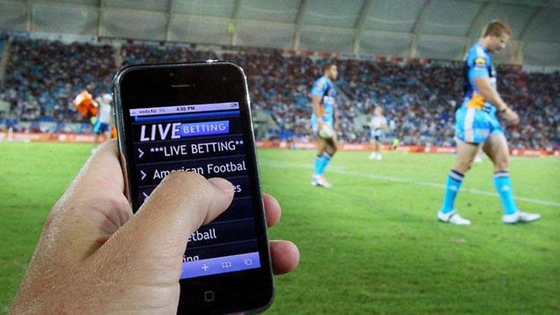 c&aacute; cược b&oacute;ng đ&aacute; tr&ecirc;n điện thoại